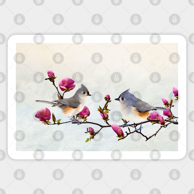 Tufted Titmice on Magnolia Branch Sticker by lauradyoung